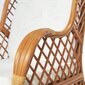 Krēsls ar spilvenu, brūns cena un informācija | Dārza krēsli | 220.lv