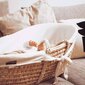CHILDHOME pīta mazuļu gultiņa ar matraci un pārvalku cena un informācija | Bērnu gultas | 220.lv