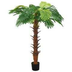 vidaXL mākslīgā cikas palma ar podiņu, 160 cm, zaļa цена и информация | Искусственные цветы | 220.lv