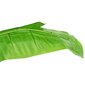 vidaXL mākslīgais banānkoks ar podiņu, 285 cm, zaļš cena un informācija | Mākslīgie ziedi | 220.lv