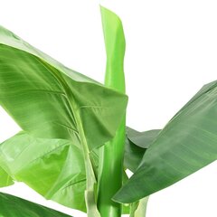 vidaXL mākslīgais banānkoks ar podiņu, 285 cm, zaļš цена и информация | Искусственные цветы | 220.lv