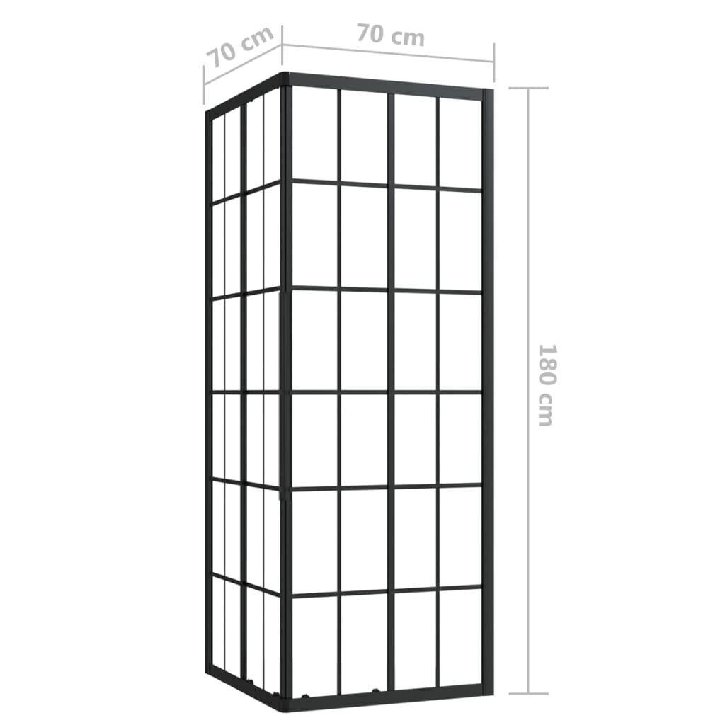 vidaXL dušas kabīne, 70x70x180 cm, ESG cena un informācija | Dušas kabīnes | 220.lv