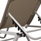 vidaXL sauļošanās zvilnis, alumīnijs un tekstilēns, pelēkbrūns cena un informācija | Sauļošanās krēsli | 220.lv