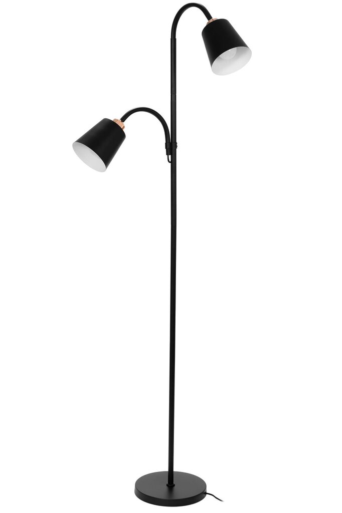 Stāvlampa Convallaria cena un informācija | Stāvlampas | 220.lv