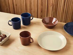 Iittala сервировочная тарелка Teema, 16x16 см цена и информация | Посуда, тарелки, обеденные сервизы | 220.lv