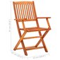 Saliekami dārza krēsli vidaXL, 2 gab., brūni цена и информация | Dārza krēsli | 220.lv