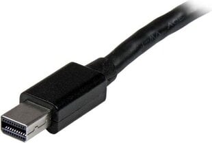 StarTech MSTMDP123DP цена и информация | Адаптеры и USB разветвители | 220.lv