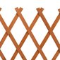 vidaXL špaleru žogs, oranžs, 120x60 cm, egles masīvkoks cena un informācija | Žogi un piederumi | 220.lv