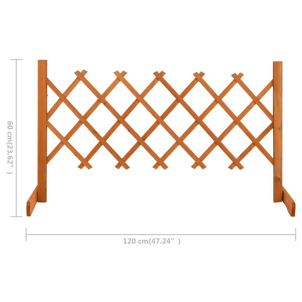 vidaXL špaleru žogs, oranžs, 120x60 cm, egles masīvkoks cena un informācija | Žogi un piederumi | 220.lv