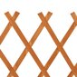 vidaXL špaleru žogs, oranžs, 120x90 cm, egles masīvkoks цена и информация | Žogi un piederumi | 220.lv