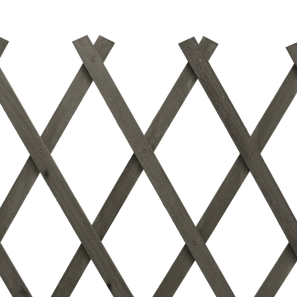 vidaXL špaleru žogs, pelēks, 150x80 cm, egles masīvkoks cena un informācija | Žogi un piederumi | 220.lv