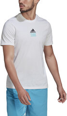 Футболки Adidas M Tns Par G Tee White HA0966 HA0966/XL цена и информация | Мужские футболки | 220.lv