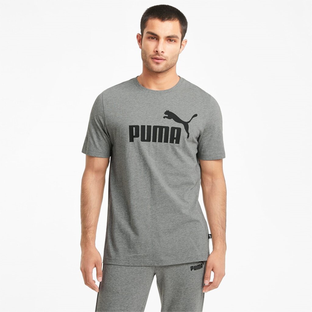 Puma vīrieša T-krekl 586666*03, pelēks 4063697404564 cena un informācija | Vīriešu T-krekli | 220.lv