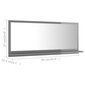 vidaXL vannasistabas spogulis, spīdīgi pelēks, 90x10,5x37 cm cena un informācija | Vannas istabas spoguļi | 220.lv
