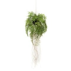 Emerald mākslīgā nokarenā paparde ar saknēm, 35 cm cena un informācija | Mākslīgie ziedi | 220.lv