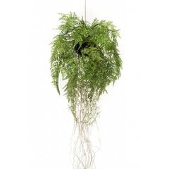 Emerald mākslīgā nokarenā paparde ar saknēm, 35 cm cena un informācija | Mākslīgie ziedi | 220.lv