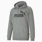 Puma vīriešu sporta krekls 586688*03, pelēks 4063697318571 cena un informācija | Sporta apģērbs vīriešiem | 220.lv