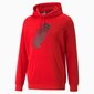 Puma vīriešu sporta krekls 847378*11, sarkans 4064535740172 цена и информация | Vīriešu jakas | 220.lv