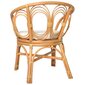 vidaXL virtuves krēsls ar matraci, brūna dabīgā rotangpalma, lins cena un informācija | Virtuves un ēdamistabas krēsli | 220.lv