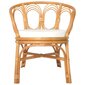 vidaXL virtuves krēsls ar matraci, brūna dabīgā rotangpalma, lins cena un informācija | Virtuves un ēdamistabas krēsli | 220.lv