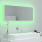 Spogulis vidaXL LED 100, balts cena un informācija | Vannas istabas spoguļi | 220.lv