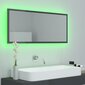 Spogulis vidaXL LED 100, pelēks cena un informācija | Vannas istabas spoguļi | 220.lv