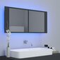 Vannas skapis vidaXL LED 100, tumši pelēks cena un informācija | Vannas istabas skapīši | 220.lv
