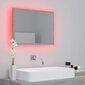 Spogulis vidaXL LED 60, pelēks цена и информация | Vannas istabas spoguļi | 220.lv