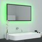 Spogulis vidaXL LED 80, pelēks цена и информация | Vannas istabas spoguļi | 220.lv