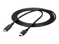 StarTech.com USB-C- Mini DisplayPort, 1,8 м цена и информация | Кабели и провода | 220.lv