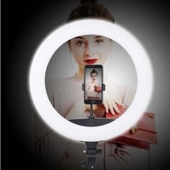 Gredzenveida LED lampa XXL izmēra (44 cm) ar tālvadības pulti (bez statīva), YQ-480B cena un informācija | Apgaismojums fotografēšanai | 220.lv