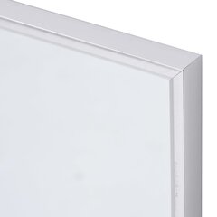 vidaXL spogulis, sudraba krāsa, 100x60 cm cena un informācija | Spoguļi | 220.lv