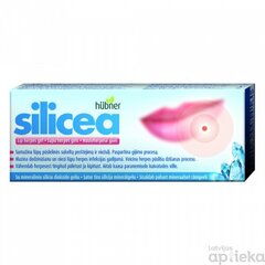 Silicea Lip herpes gel 5g cena un informācija | Medicīniskā aprūpe | 220.lv