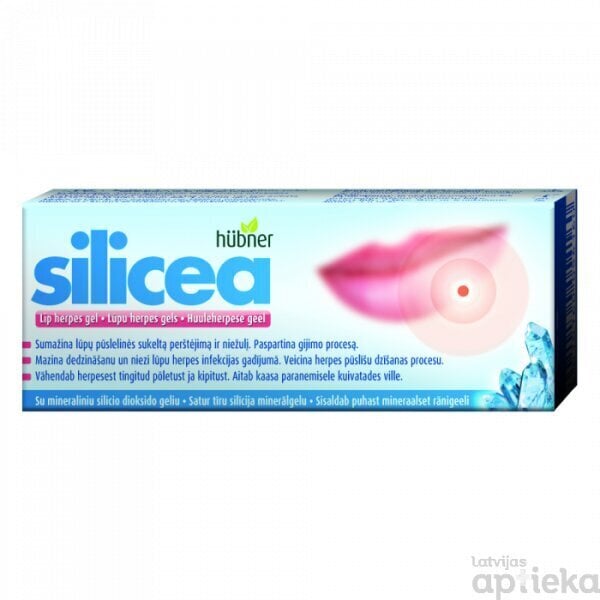 Silicea Lip herpes gel 5g цена и информация | Medicīniskā aprūpe | 220.lv
