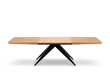 Paplašināms galds Windsor & Co Sky, 200 cm, brūns/melns cena un informācija | Virtuves galdi, ēdamgaldi | 220.lv