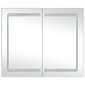 Vannasistabas skapītis ar spoguli un LED vidaXL, 80x12,2x68 cm cena un informācija | Vannas istabas skapīši | 220.lv
