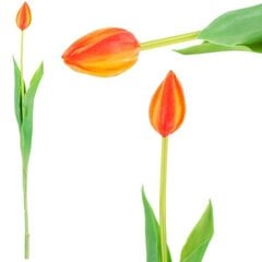 Искусственный тюльпан, оранжевый цена и информация | Детали интерьера | 220.lv