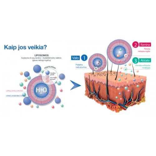 Sejas tīrīšanas līdzeklis Sesderma Sensyses Sebum, 200 ml cena un informācija | Sejas ādas kopšana | 220.lv