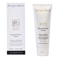 Sejas gels nuo pleiskanų Alqvimia Absolute Beauty, 75 ml цена и информация | Средства для очищения лица | 220.lv