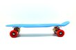 Skrituļdēlis Pennyboard 55 cm cena un informācija | Skrituļdēļi | 220.lv