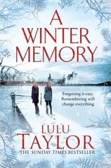 A Winter Memory cena un informācija | Romāni | 220.lv