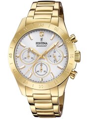 Pulkstenis sievietēm Festina Boyfriend Diamond 20400/1 цена и информация | Женские часы | 220.lv