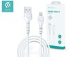 USB kabelis Devia Kintone Lightning 1.0m balts 5V 2.1A cena un informācija | Savienotājkabeļi | 220.lv