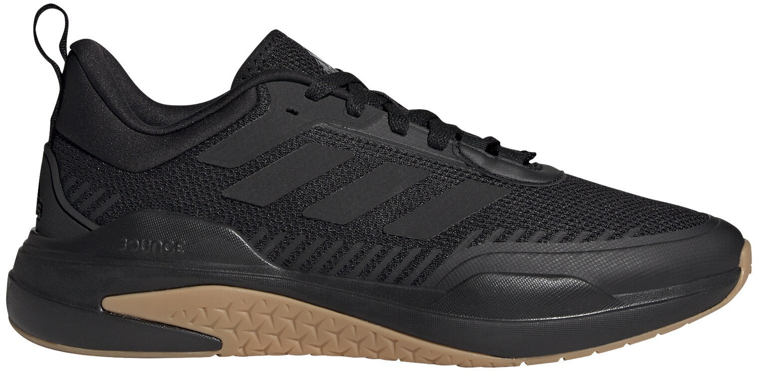 Adidas Apavi Trainer V Black GX0728 GX0728/10 cena un informācija | Sporta apavi vīriešiem | 220.lv