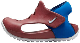 Сандалии Nike Sunray Protect 3 Brown Blue DH9465 600 DH9465 600/7.5K цена и информация | Детские сандалии | 220.lv