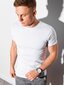 Vīriešu T-krekls Ombre S1370 balts cena un informācija | Vīriešu T-krekli | 220.lv