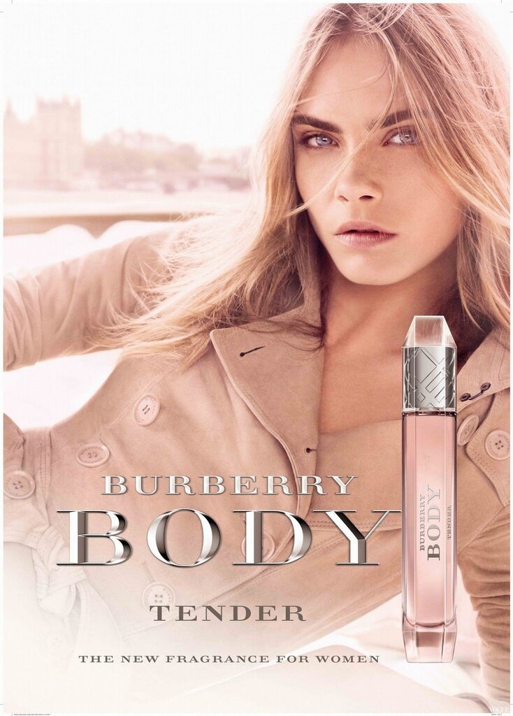 Burberry Body Tender EDT sievietēm 85 ml cena un informācija | Sieviešu smaržas | 220.lv