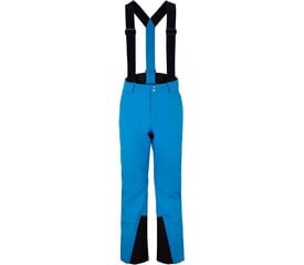 Slēpošanas bikses Ziener Taga 214208-798, zilas cena un informācija | Vīriešu slēpošanas apģērbs | 220.lv