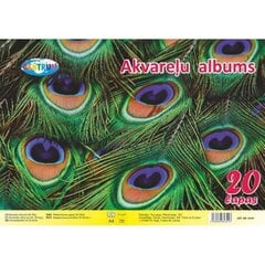 Акварельный альбом А4 20лист. цена и информация | Тетради и бумажные товары | 220.lv