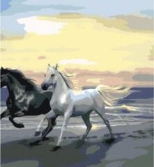 Glezna pēc cipariem "Zirgi un jūra" 40x50 KTMK-978231G cena un informācija | Gleznas pēc numuriem | 220.lv